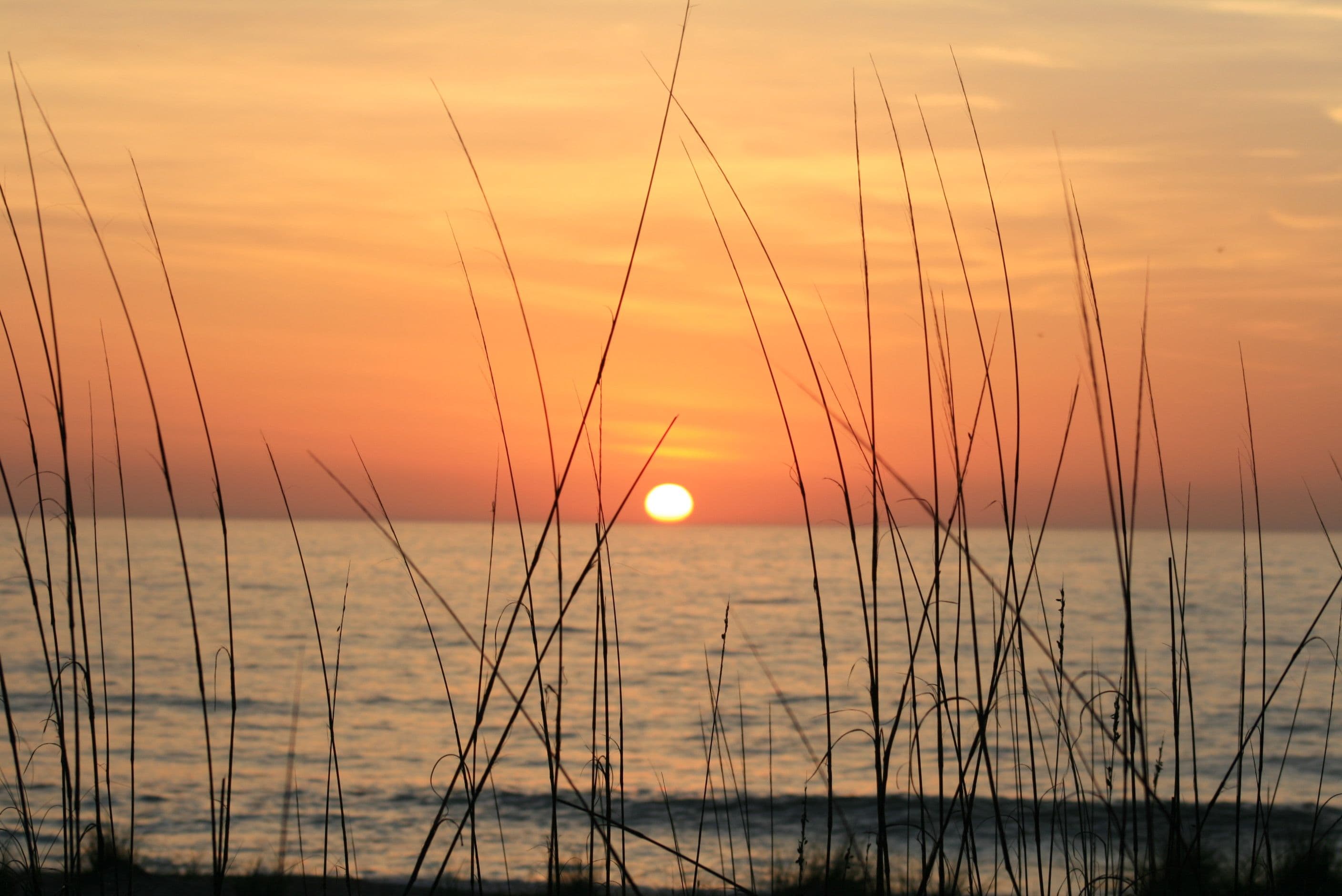 The 30-Day Pre-Arrival Checklist for Returning Snowbirds