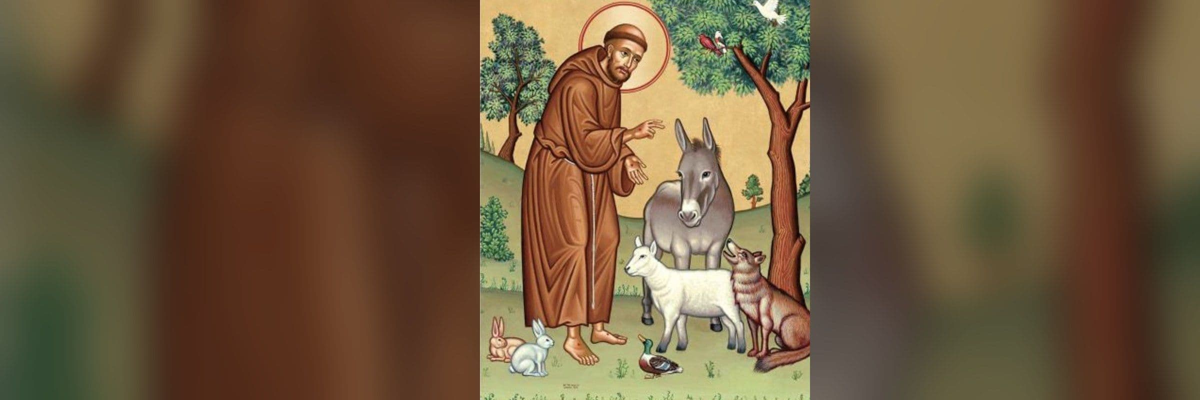 St. Francis of Assisi and the Animals: A Feast Day Reflection from Fernandina Beach