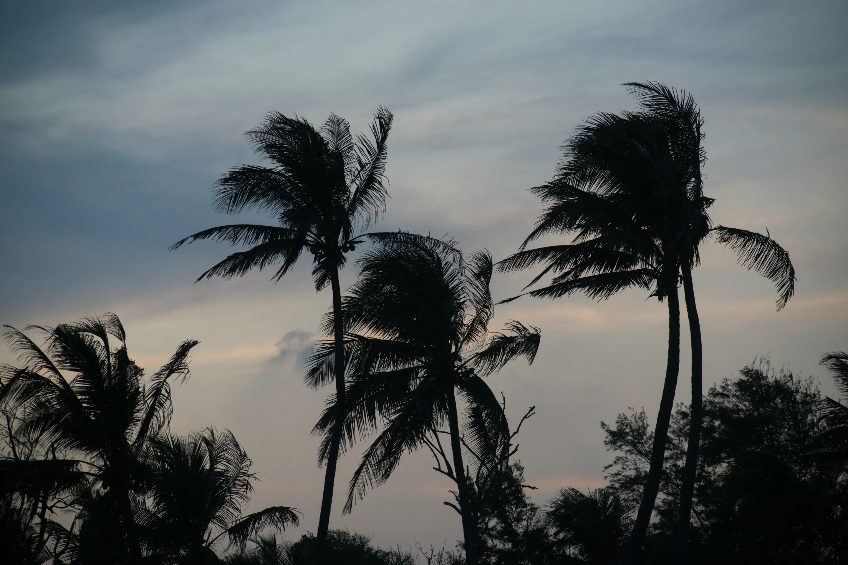 Hurricane Season Preparation: An Amelia Island Homeowner's Complete Guide
