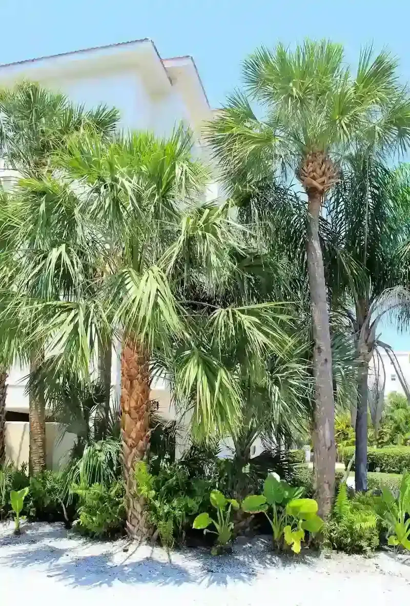 The Northeast Florida Lawn Care Calendar: Month-by-Month Guide