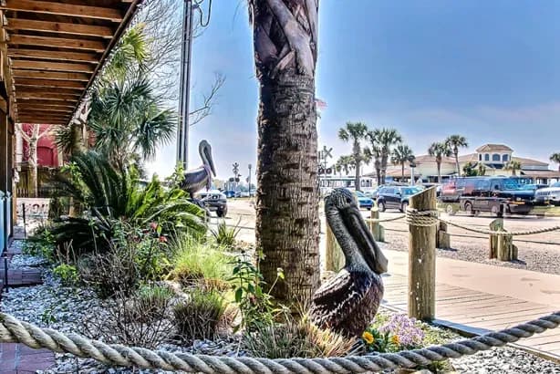 Salty Pelican Bar & Grill