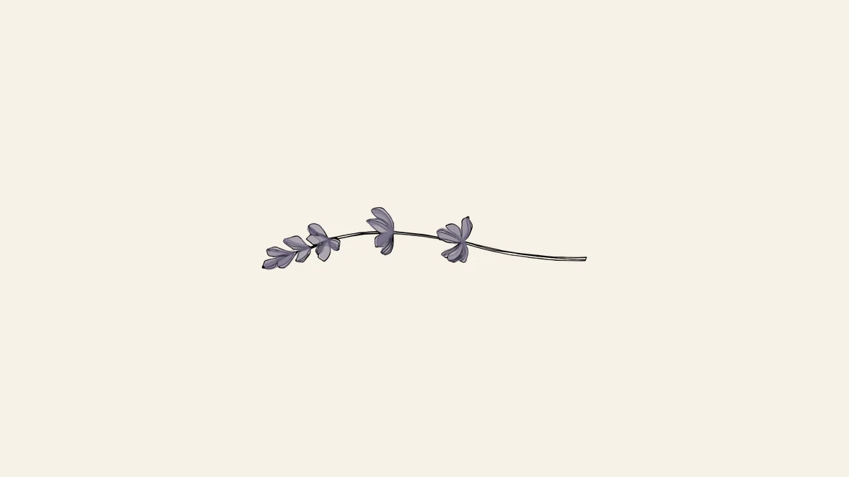 The Lavender Store