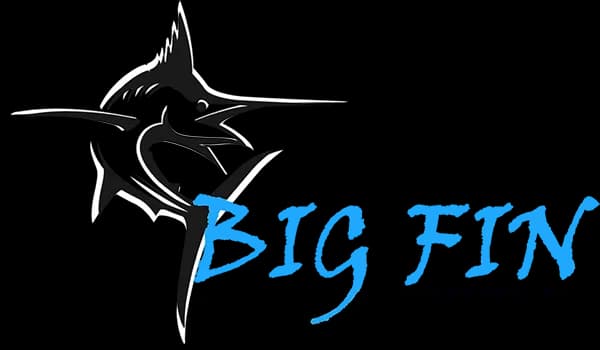 Big Fin Charters