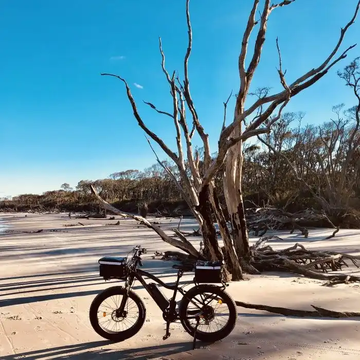 Coast eBike Adventures