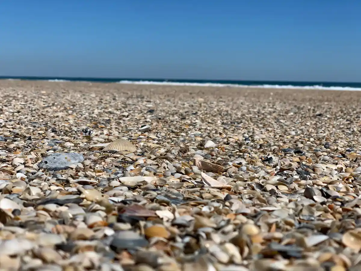 Little Talbot Island State Park