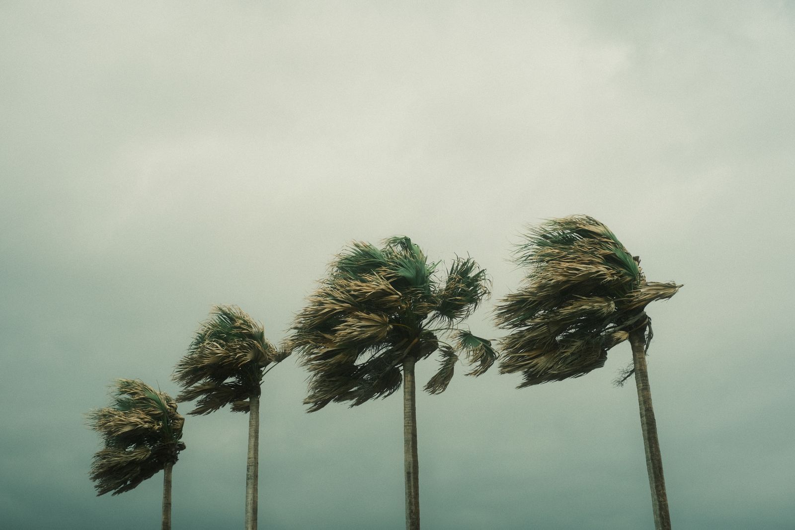 When Amelia Island Evacuates: A Hurricane Evacuation Guide for Fernandina Beach Homeowners