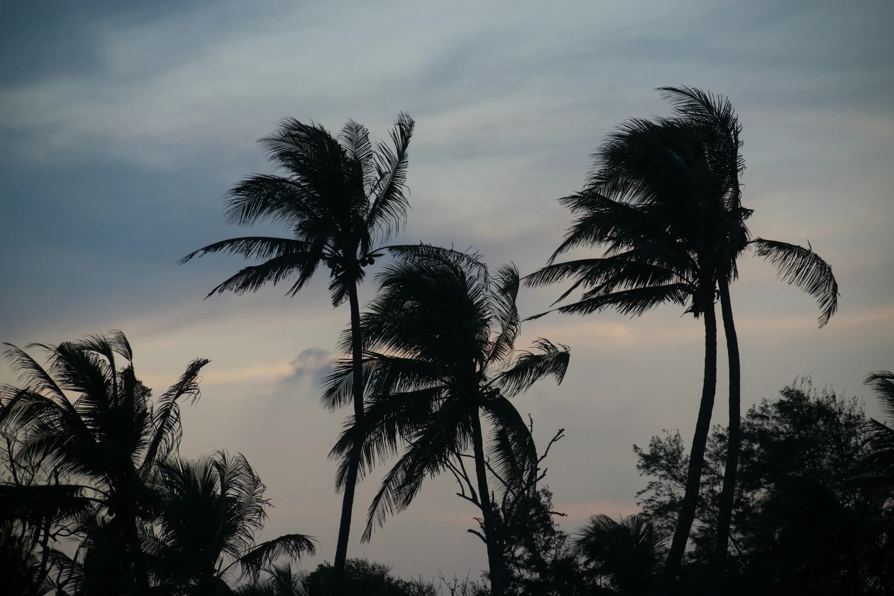 Hurricane Season Preparation: An Amelia Island Homeowner's Complete Guide