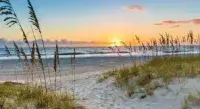 Amelia Island Clients